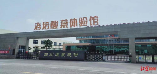 实地探访四川老坛酸菜加工厂 土坑绝迹,全程标准化车间 业内称长远看土坑酸菜曝光是好消息